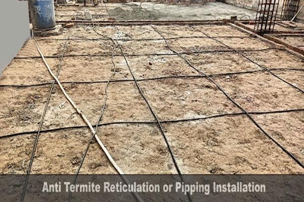 termite reticulation